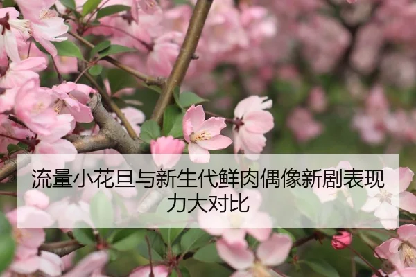 流量小花旦与新生代鲜肉偶像新剧表现力大对比