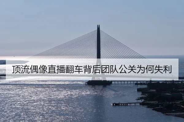 顶流偶像直播翻车背后团队公关为何失利